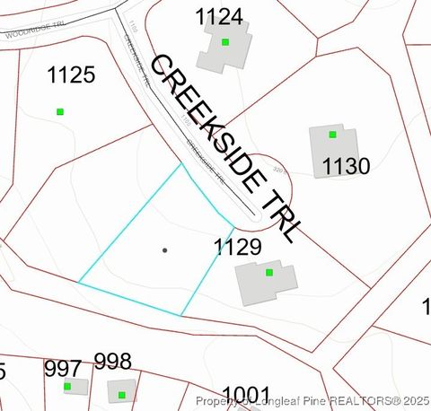 Photo of 1128 Creekside Trail, Sanford, NC 27332 (MLS # 753234)