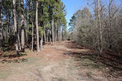 Tiny photo for TBD NC Hwy 130 Highway, Fairmont, NC 28340 (MLS # 756147)