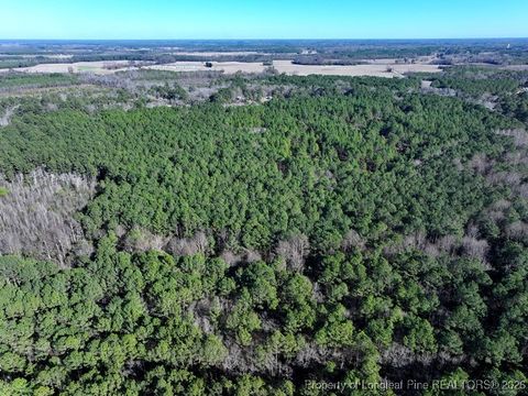 Tiny photo for TBD NC Hwy 130 Highway, Fairmont, NC 28340 (MLS # 756147)