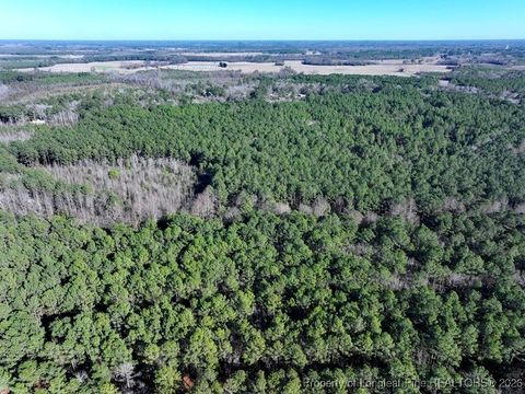 Photo of TBD NC Hwy 130 Highway, Fairmont, NC 28340 (MLS # 756147)