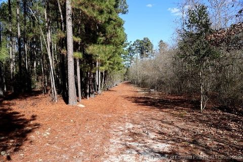 Tiny photo for TBD NC Hwy 130 Highway, Fairmont, NC 28340 (MLS # 756147)