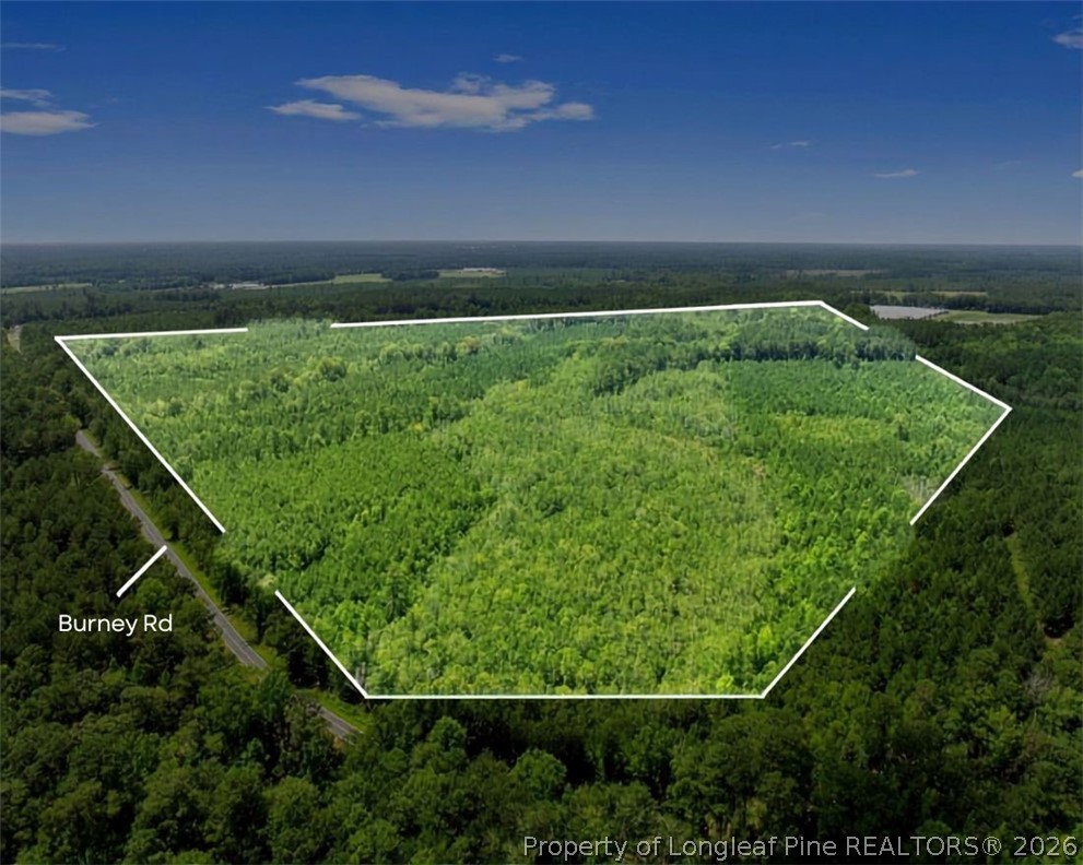 Photo 1 of 4 — Burney Road, White Oak, NC 28399