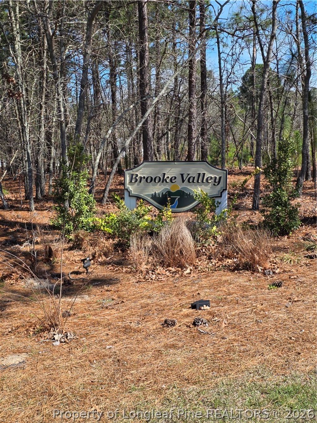Photo of 370 Bulldawg Lane, Raeford, NC 28376 (MLS # 759120)