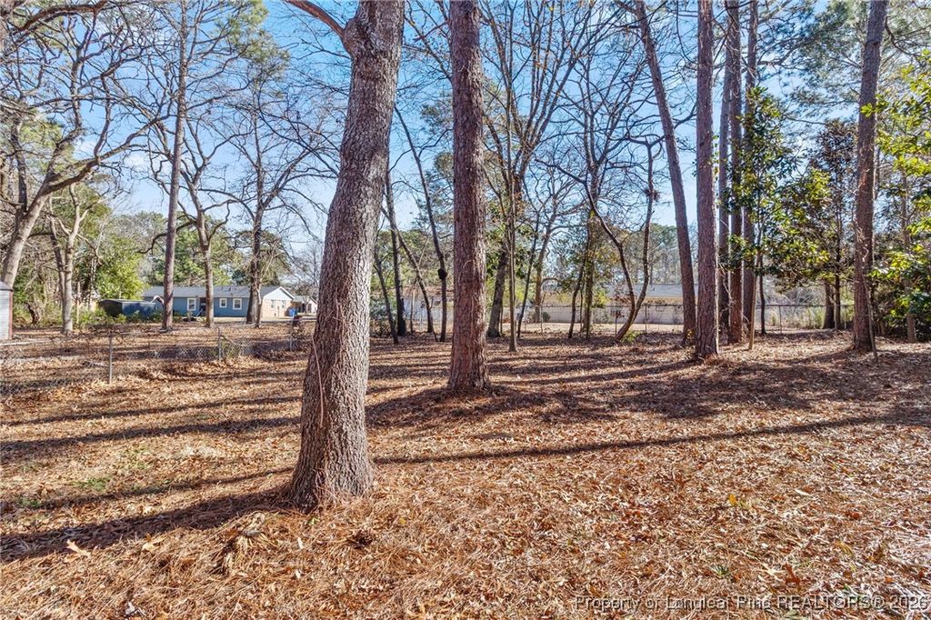Photo of 2243 Delta Drive, Fayetteville, NC 28304 (MLS # 755233)