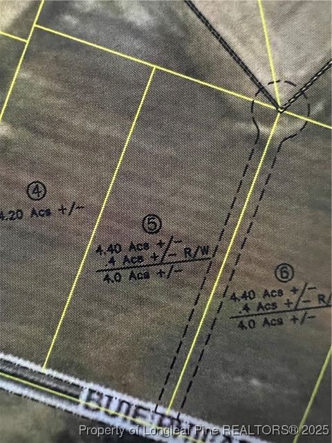 Lot 5 Buie Philadelphus Road Red Springs NC 28377