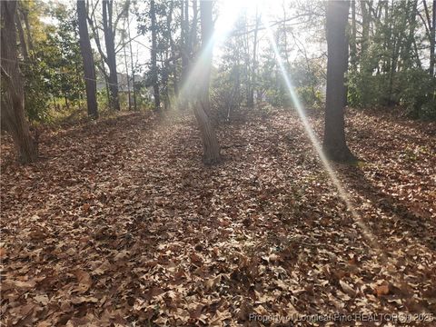 Tiny photo for 132 Bremer Street, Fayetteville, NC 28303 (MLS # 754723)