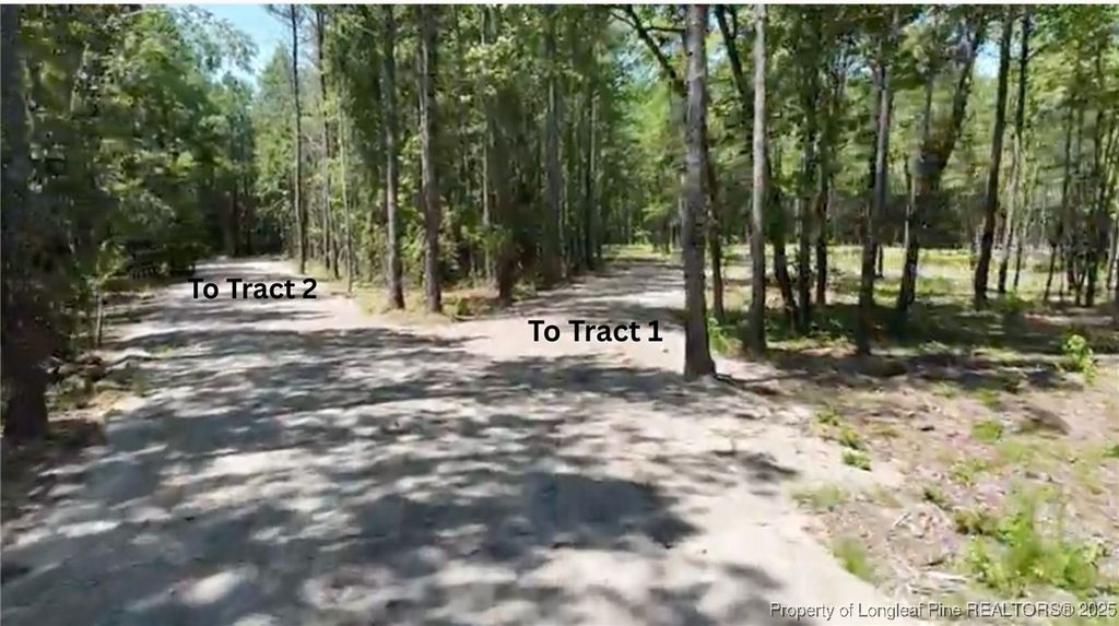 Photo of Cameron Hill Road, Cameron, NC 28326 (MLS # 752434)