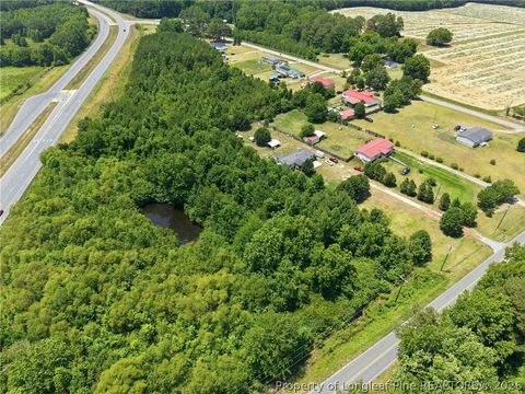 Photo of 0 Boren Brick Road, Roseboro, NC 28382 (MLS # 765852)