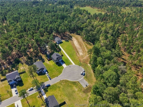 Tiny photo for 253 Mildred Way, Aberdeen, NC 28315 (MLS # 770654)