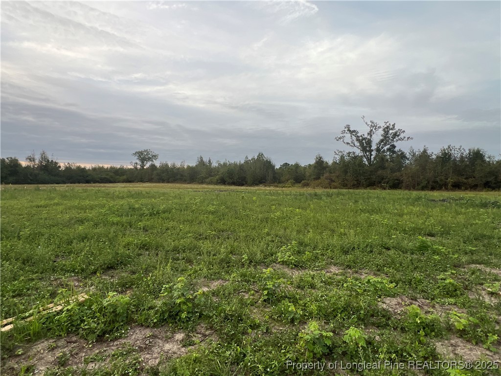 4025 Blue Springs Road