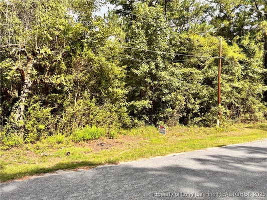 8061 GREEN ACRES RD, LAURINBURG, NC 28352 - Image 9be71bc91ba48aab1d34b02c323b2f1c/2866011492