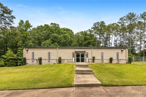 Tiny photo for 215 Coates Road, Linden, NC 28356 (MLS # 744914)