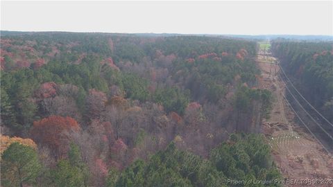 Tiny photo for TBD Lick Creek Road, Sanford, NC 27330 (MLS # 753678)