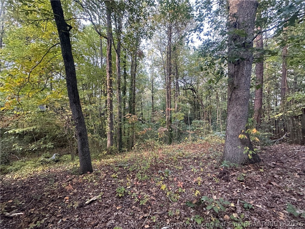 Photo of 5908 Waters Edge Drive, Fayetteville, NC 28314 (MLS # 771643)