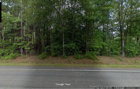 Lot 2 S Plank Road Sanford NC 27330
