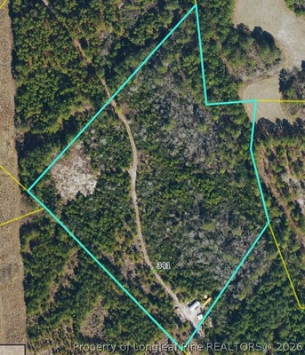 341 SQUIRES FARM RD, WHITE OAK, NC 28399 - Image 9ebaa564cf71b5d2111e6f789a4bd530/4042091096