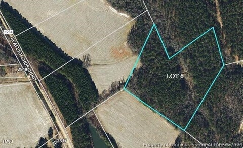 Tiny photo for 0 Leaflet Church Road, Broadway, NC 27505 (MLS # 768518)