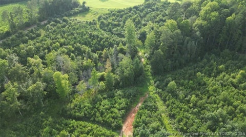 Photo of 0 Leaflet Church Road, Broadway, NC 27505 (MLS # 768518)