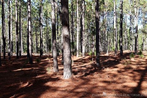 Tiny photo for NC Hwy 130 Highway, Fairmont, NC 28340 (MLS # 756429)