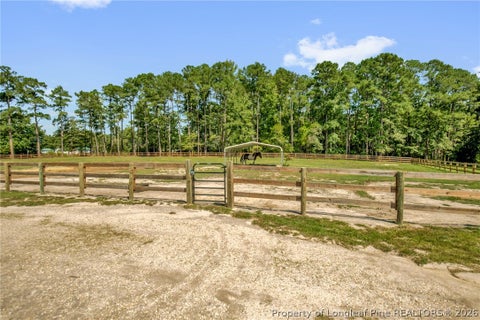 Tiny photo for 2714 Bethel Baptist Rd Rd, Spring Lake, NC 28390 (MLS # 769501)