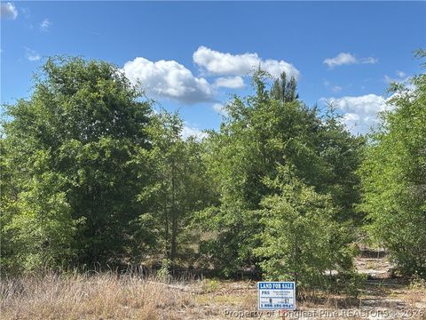 Photo of Johnson Road, Fayetteville, NC 28312 (MLS # 763630)