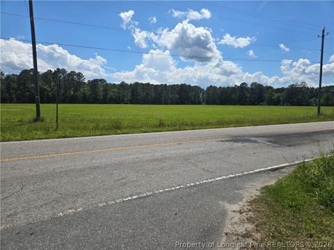 Tiny photo for 24911 NC HWY 210 Highway, Currie, NC 28435 (MLS # 767436)
