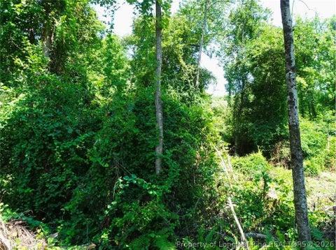 Tiny photo for 000 Ridgefield Road, Eastover, NC 28312 (MLS # 769638)