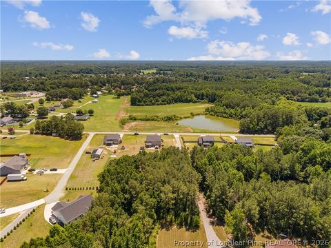Tiny photo for 137 Minter School Road, Sanford, NC 27332 (MLS # 765225)
