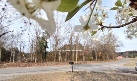 Photo of Lot 7 Castleberry Road, Sanford, NC 27332 (MLS # 740348)