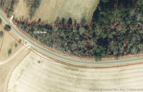 Tiny photo for Lot 7 Castleberry Road, Sanford, NC 27332 (MLS # 740348)