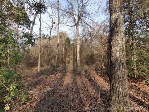 Tiny photo for Lot 7 Castleberry Road, Sanford, NC 27332 (MLS # 740348)