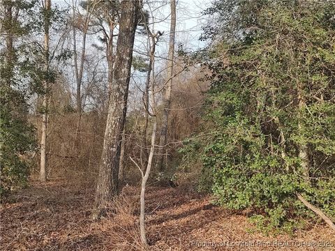 Tiny photo for Lot 7 Castleberry Road, Sanford, NC 27332 (MLS # 740348)