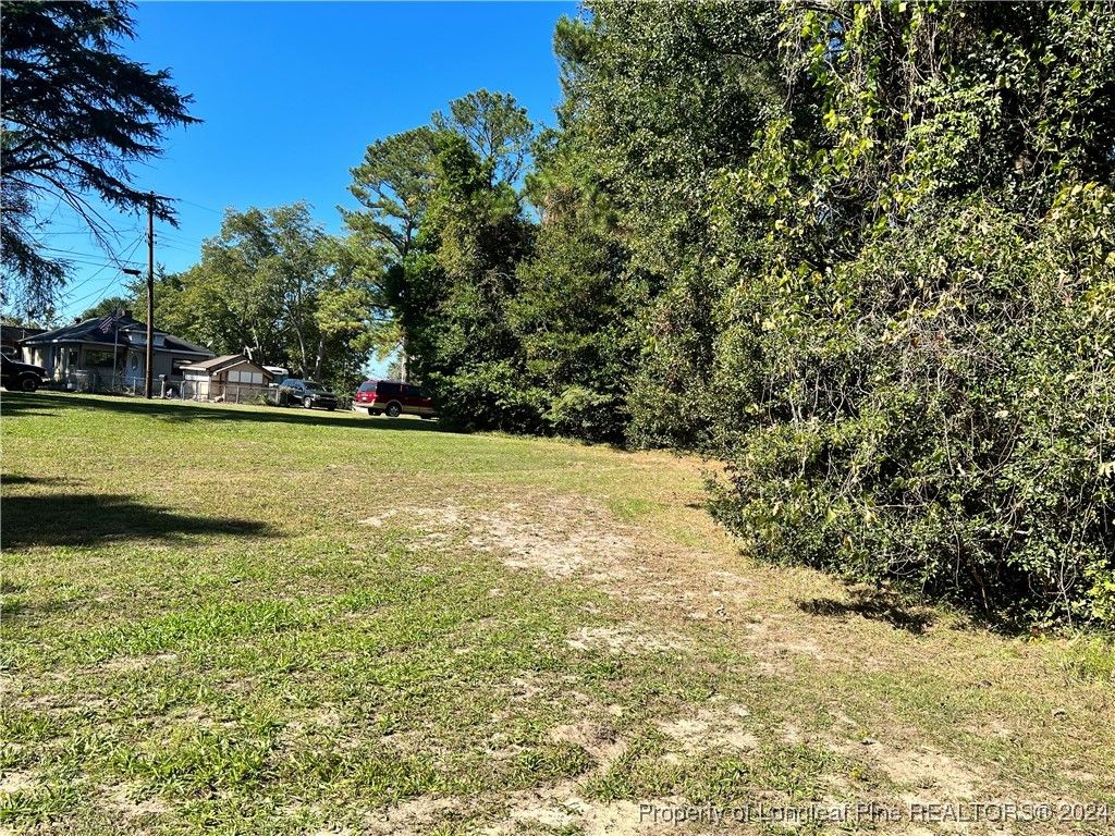 Photo of 122 N 1st Street, Spring Lake, NC 28390 (MLS # 735383)