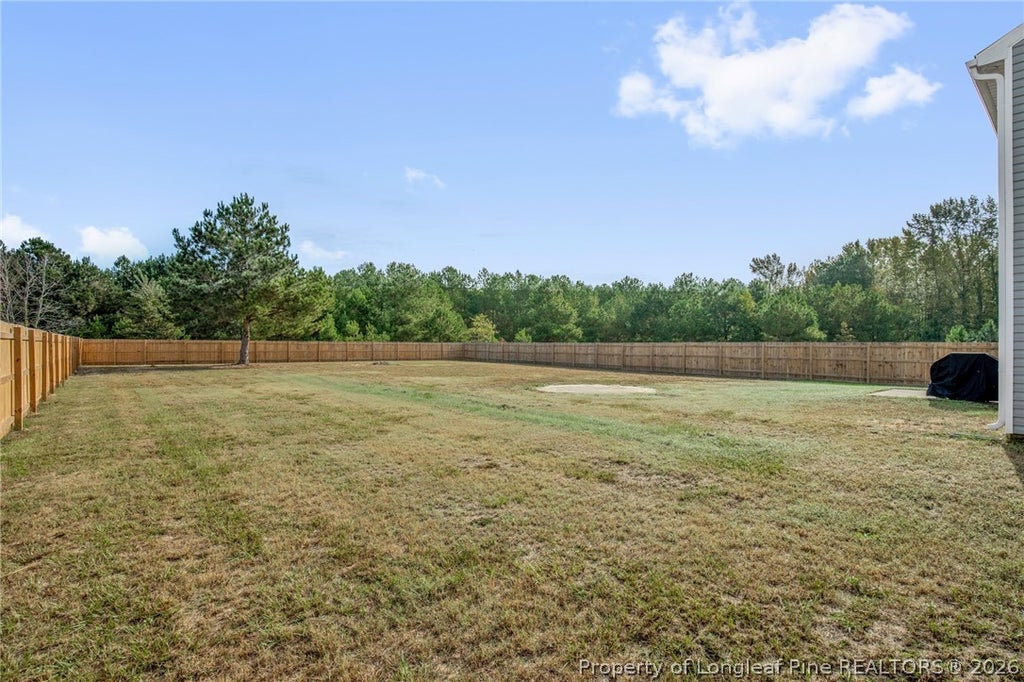 Photo of 4993 Blue Springs Road, Red Springs, NC 28377 (MLS # 770469)