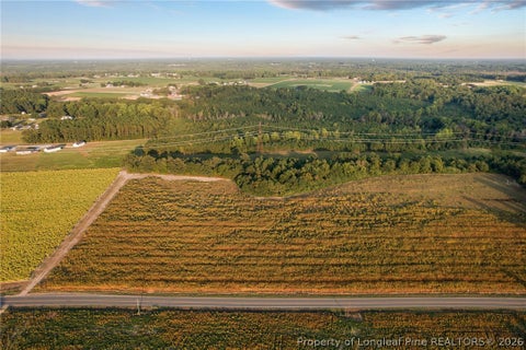 Photo of 00 Daniels (Lot 3) Road, Dunn, NC 28334 (MLS # 770201)