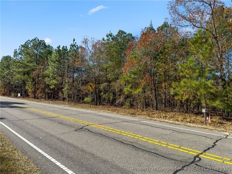 Tiny photo for 2746 Union Church Road, Carthage, NC 28327 (MLS # 753865)