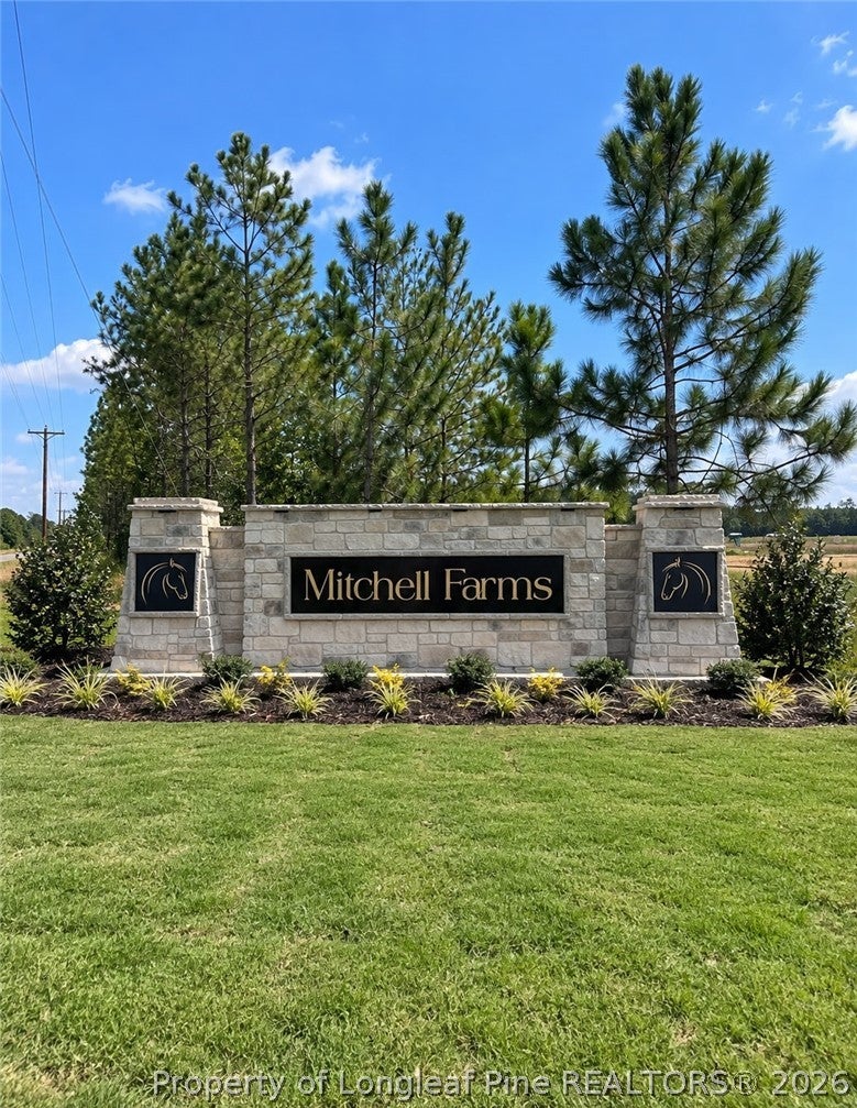 Photo of 253 Kasey Lane, Spring Lake, NC 28390 (MLS # 771350)