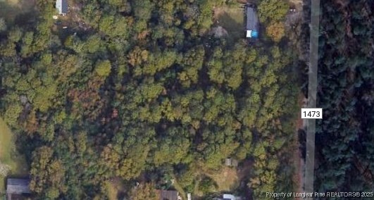 McCoy Road