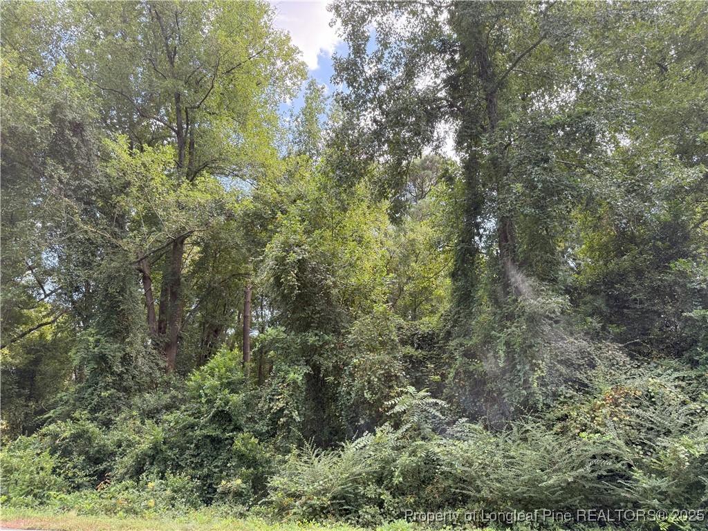 Lot 3 E Williams Street