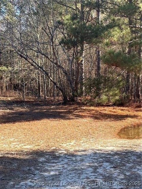 Photo of Love Grove Church Road, Sanford, NC 27332 (MLS # 754648)