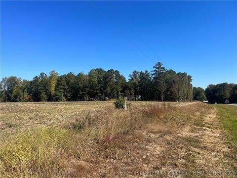 Photo of 15894 NC 24/27 Highway, Eagle Springs, NC 27242 (MLS # 751436)