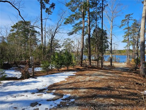 Photo of 110 Caraway Court, Arapahoe, NC 28510 (MLS # 757119)