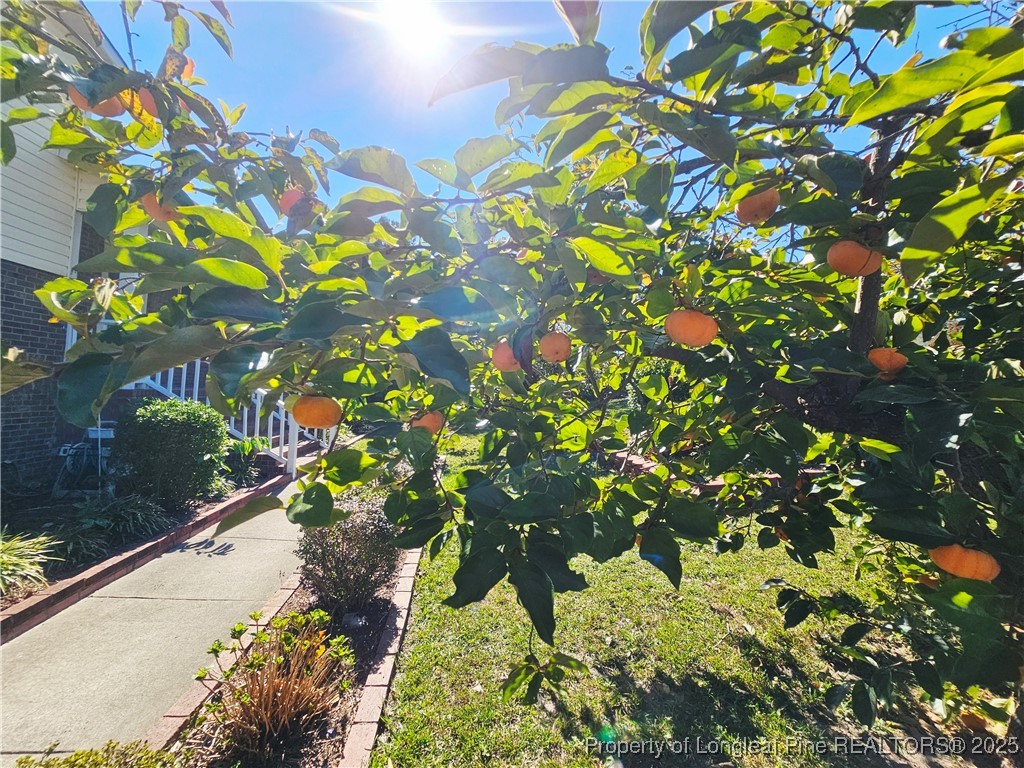 6766 Buttermere Drive