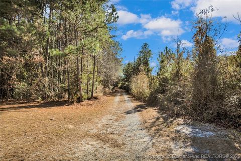 Tiny photo for 3460 Big Piney Grove Road, Clinton, NC 28328 (MLS # 754697)