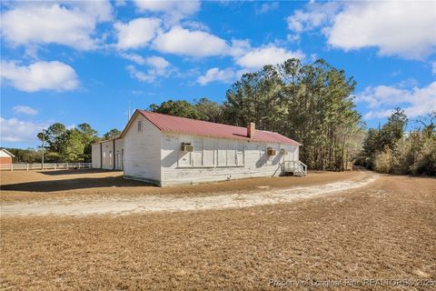 Tiny photo for 3460 Big Piney Grove Road, Clinton, NC 28328 (MLS # 754697)