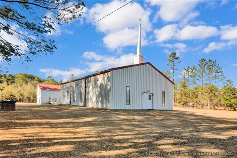 Photo of 3460 Big Piney Grove Road, Clinton, NC 28328 (MLS # 754697)