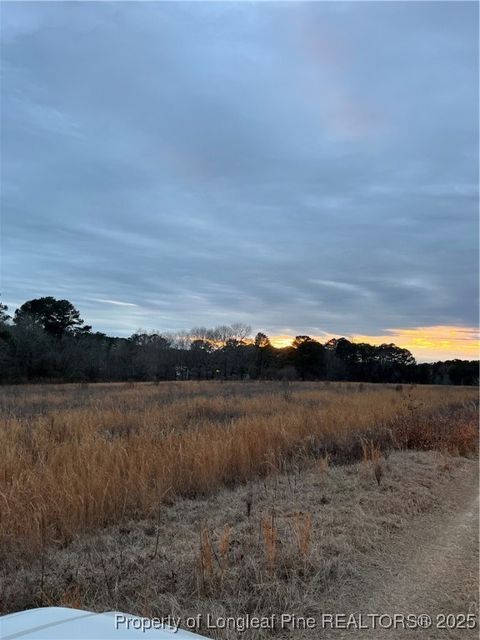 Tiny photo for TBD Hwy 87/ Broadway Rd. Road, Sanford, NC 27330 (MLS # 737068)