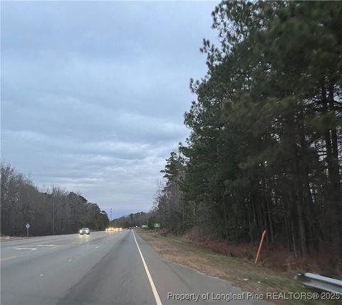 Tiny photo for TBD Hwy 87/ Broadway Rd. Road, Sanford, NC 27330 (MLS # 737068)