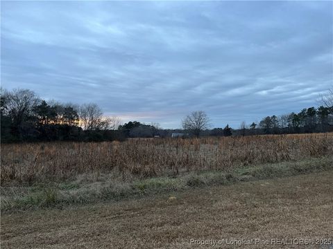 Tiny photo for TBD Hwy 87/ Broadway Rd. Road, Sanford, NC 27330 (MLS # 737068)