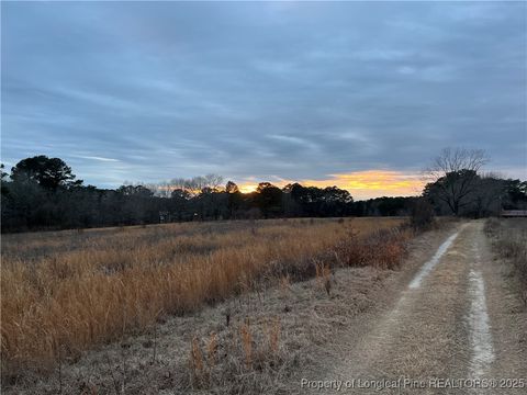 Tiny photo for TBD Hwy 87/ Broadway Rd. Road, Sanford, NC 27330 (MLS # 737068)